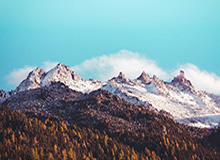 首秀小胜就不亏 杨瀚森：打得好不好看评论就知道